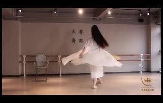 成人半身舞蹈视频大全集,成人半身舞蹈视频大全集精彩回顾