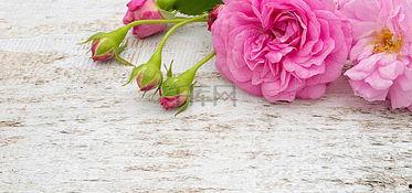 成人钩花视频大全集下载,从入门到精通，一网打尽下载攻略