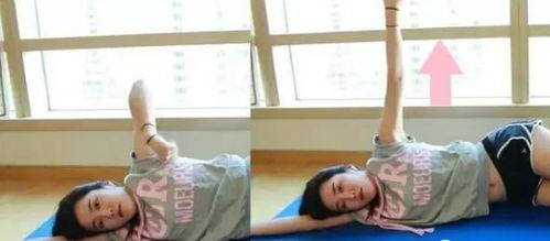 室内成人运动操教学视频,轻松塑形，健康生活新体验