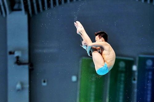 成人怎么教跳水的视频