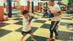 昆明成人散打训练视频,实战技巧与健身之道